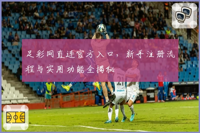 足彩网直连官方入口，新手注册流程与实用功能全揭秘