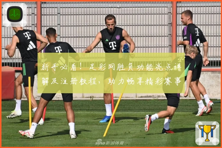 新手必看！足彩网胜负功能亮点详解及注册教程，助力畅享精彩赛事分析