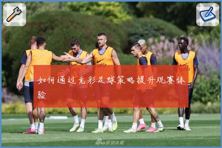如何通过竞彩足球策略提升观赛体验