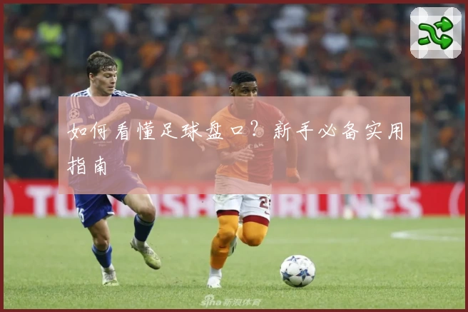 如何看懂足球盘口?新手必备实用指南