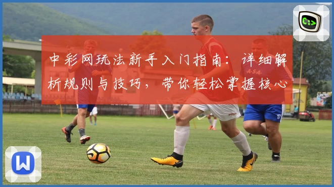 中彩网玩法新手入门指南：详细解析规则与技巧，带你轻松掌握核心要点