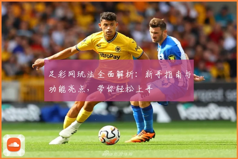足彩网玩法全面解析:新手指南与功能亮点,带你轻松上手