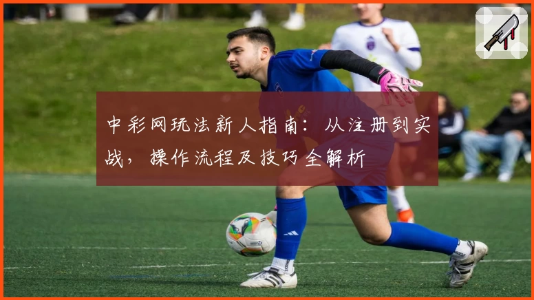 中彩网玩法新人指南：从注册到实战，操作流程及技巧全解析