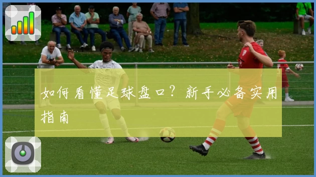 如何看懂足球盘口？新手必备实用指南